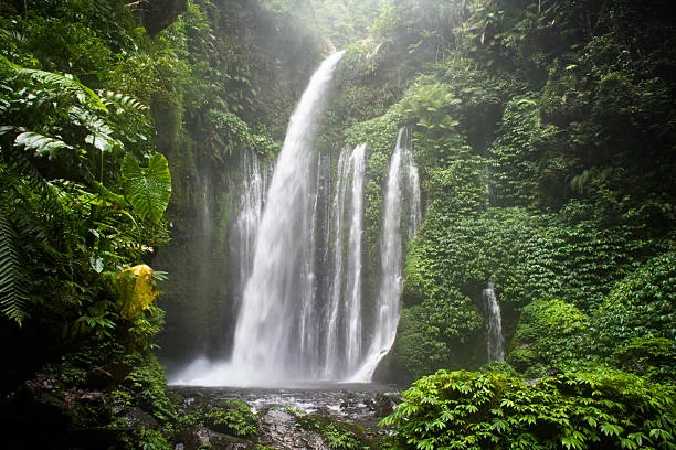 Cascada en una selva tropical de Indonesia